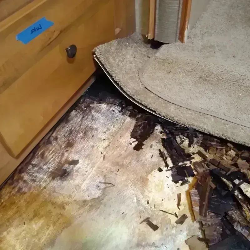 Best Wood Floor Water Damage Service in Marco, FL